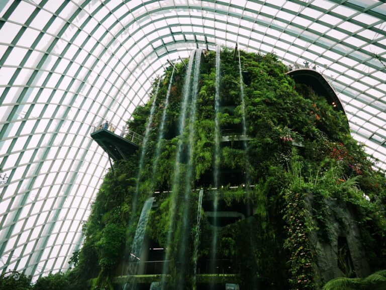 Photo "10 tips for living more eco-friendly in 2025"