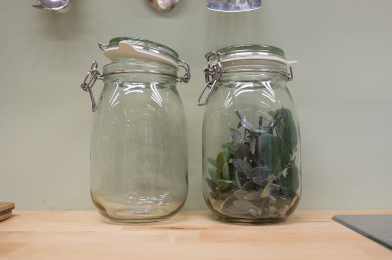 Photo How to implement zero waste strategies in your home