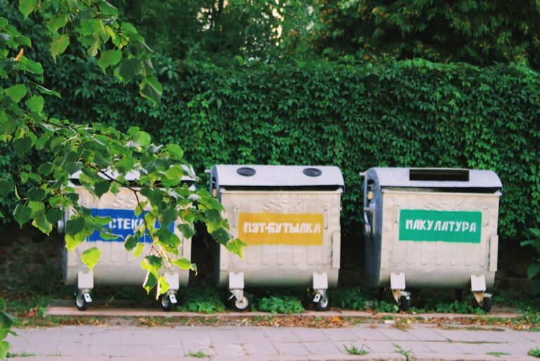 Photo How to redirect your waste to protect the environment