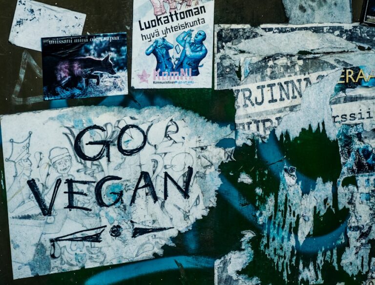Photo "How to become vegetarian or vegan to protect the planet"