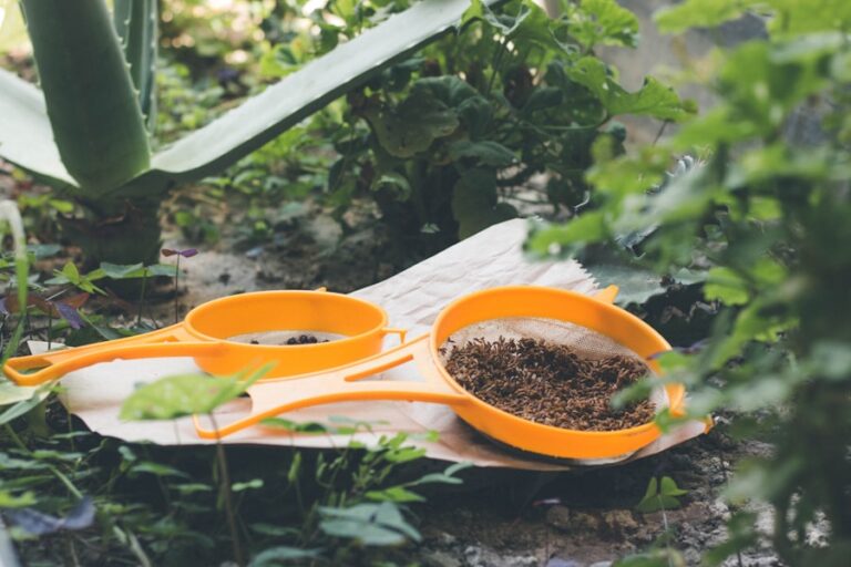 Photo "How to make compost at home to reduce waste"