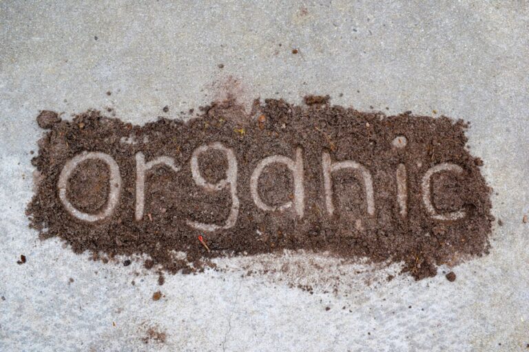 Photo "How to choose organic products without sacrificing quality"