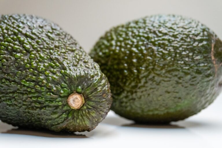 Photo avocat potrivit