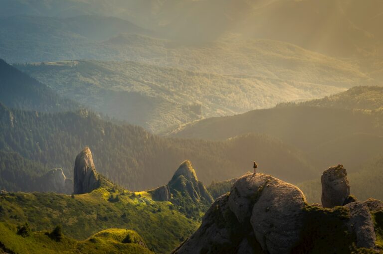 Photo rovinietă